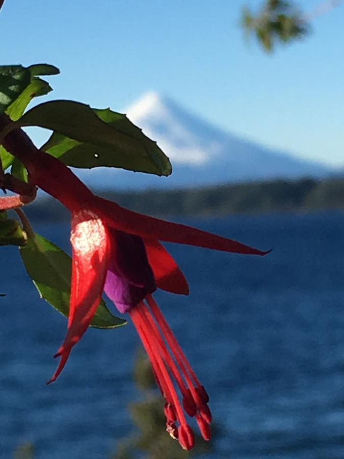 Cabanas Puerto Chalhuaco Puerto Varas Luaran gambar