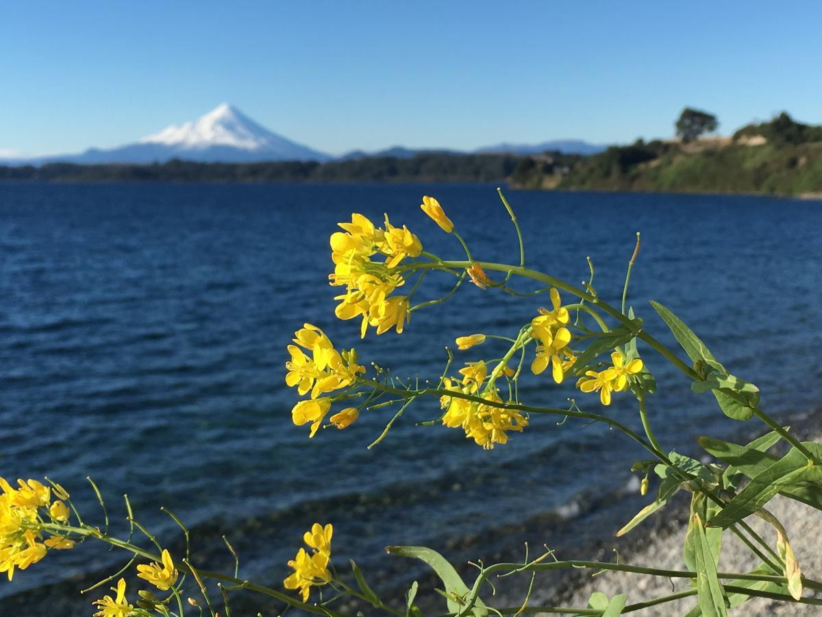 Cabanas Puerto Chalhuaco Puerto Varas Luaran gambar